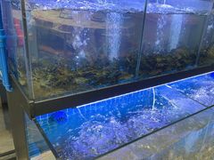 -老班长·小龙虾·鲜货烧烤大排档(金街美地店)