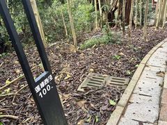 -莲花山公园