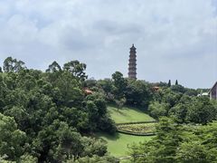 -广州莲花山旅游区
