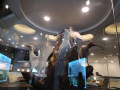 -下渚湖国家湿地公园科普馆