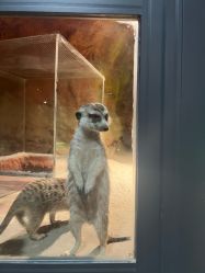 -酷嗒动物文化乐园(cutezoo西溪乐天城店)