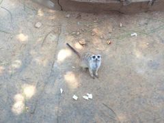 -石家庄市动物园