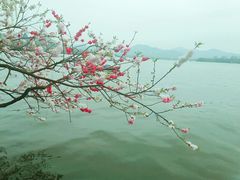 -星巴克(西湖天地店)