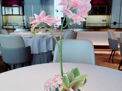 -俏江南天津时尚曲艺主题餐厅(马场道店)