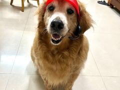 -麦当劳(江滨北路得来速餐厅)