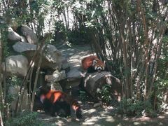 -西安秦岭野生动物园