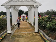 -松山湖梦幻百花洲