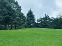 -南山植物园
