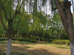 -天鹅湖体育公园