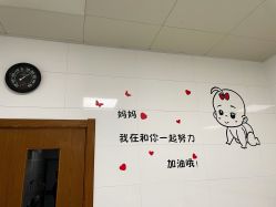 -上海市嘉定区妇幼保健院