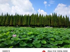 -宜兴龙背山森林公园