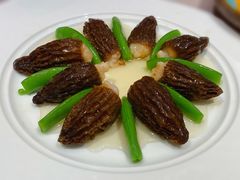 羊肚菌-陶陶居·雅园(凯华国际店)