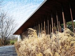 -木守西溪溪隐餐厅