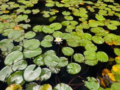 -四宜糕团店(南大街店)