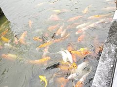 -珠海圆明新园