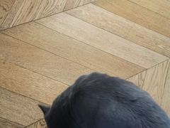 -Me Coffee下午茶艺术空间