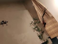 -耳艺采耳·足疗·按摩SPA(东圃店)
