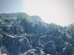 -玉石林风景区