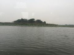 -微山湖红荷湿地景区