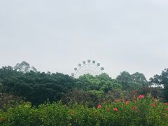 -南沙蒲洲花园