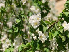 -远洋未来广场(育慧北路店)