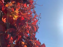 -北京金海湖景区