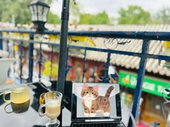 -Sirena海妖日咖夜酒