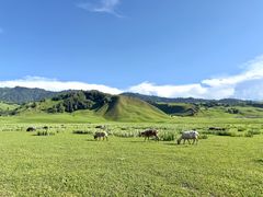 -新疆那拉提国家旅游度假区
