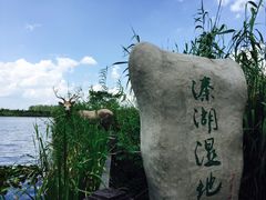 -溱湖国家湿地公园