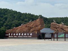 -茅兰沟国家森林公园