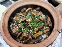 -红星光发煲仔饭(大石街店)