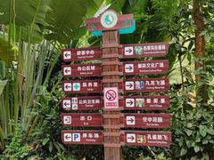 -西双版纳原始森林公园