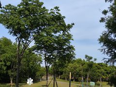 -上海长兴岛郊野公园