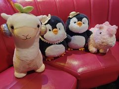 -火吧PTV聚会餐厅(1号店)