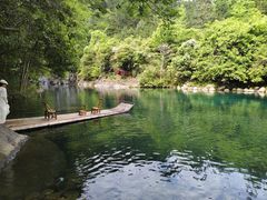 -石台牯牛降景区