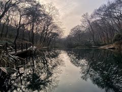 -句容茅山景区