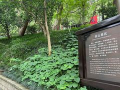 -杭州西湖风景名胜区-章太炎纪念馆
