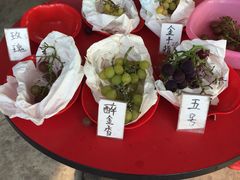 -马陆小张葡萄园农家乐