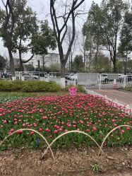 -玄武湖景区-情侣园游乐场