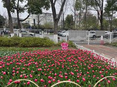 -玄武湖景区-情侣园游乐场