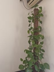 -爱儿美儿童摄影(五路居花园别墅店)