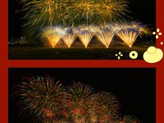 -南宁花花大世界景区