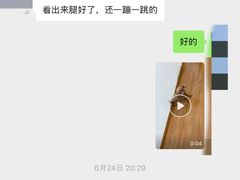 -瑞鹏宠物医院·内科·中兽医·骨科(苗圃店)