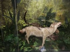 -下渚湖国家湿地公园科普馆