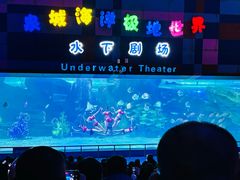 -泉城欧乐堡海洋极地世界