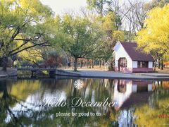 -上海共青森林公园