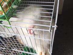 -南京夫子庙国际青年旅舍(平江府路店)