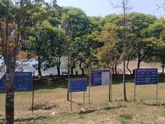 -大浪坝森林公园