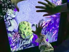 -海合安青岛极地海洋公园