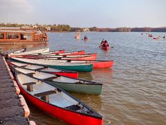 -上海海湾国家森林公园